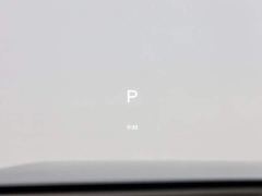 Li Auto L8 Pro - ფოტო 20
