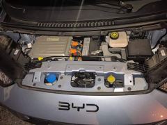BYD Seagull Glory Edition 305km Freedom Version - ფოტო 10
