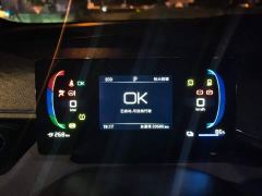 BYD Seagull Glory Edition 305km Freedom Version - ფოტო 14