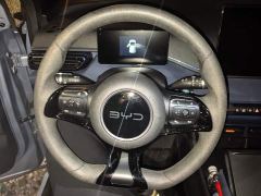 BYD Seagull Glory Edition 305km Freedom Version - ფოტო 15