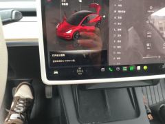 Tesla Model 3 556km Rear-Wheel Drive Edition - photo 13