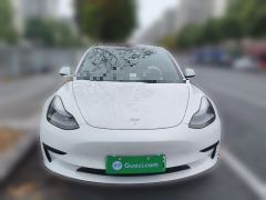 Tesla Model 3 556km Rear-Wheel Drive Edition - photo 2