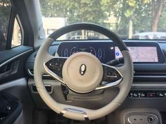 ORA Good Cat 401km Standard Range Luxury Trim Ternary Lithium Battery - ფოტო 10