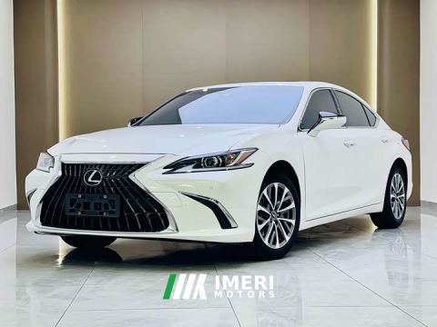 2022 Lexus ES 200 Premium Edition - car from China