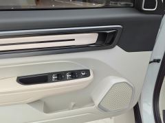 Geely ICON 1.5T Chocolate Chip - ფოტო 13