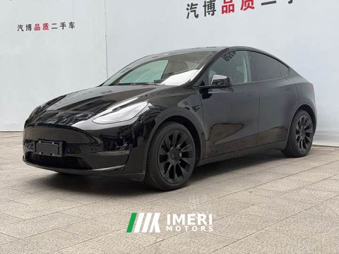 2021 Tesla Model Y Standard Range RWD - ავტომობილი ჩინეთიდან