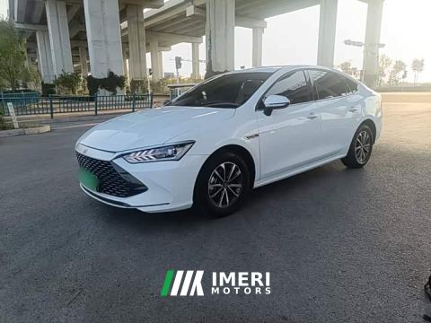 2024 BYD Qin PLUS Glory Edition DM-i 55KM Leading