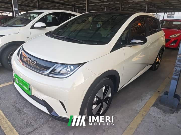 BYD Dolphin 420km Fashion Edition