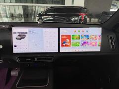 Li Auto L9 Max - photo 12