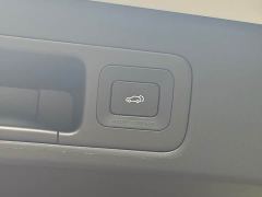 GAC Aion E9 MAX - фото 11
