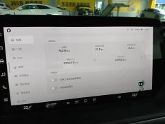 XPeng P7 586N - ფოტო 6