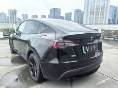 Tesla Model Y Rear-Wheel Drive - ფოტო 9