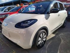 Wuling Binguo 333km Lingxi Premium Edition - фото 1