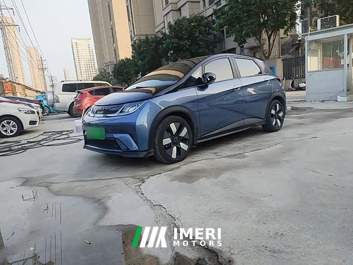 BYD Dolphin 401km Knight Edition - ავტომობილი ჩინეთიდან