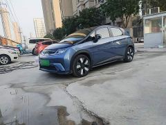 BYD Dolphin 401km Knight Edition - ფოტო 1