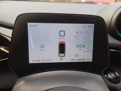 BYD Dolphin 401km Knight Edition - ფოტო 11