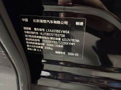 Li Auto i8 Standard Edition - photo 8
