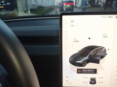 Tesla Model 3 Rear-Wheel Drive - ფოტო 13