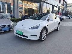 Tesla Model Y Rear-Wheel Drive - ფოტო 1