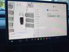 Tesla Model Y Rear-Wheel Drive - ფოტო 11