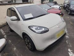 Wuling Binguo 203km Light Enjoy Edition - ფოტო 3