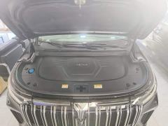 Voyah Dream PHEV Extended Range Luxury Edition - ფოტო 19