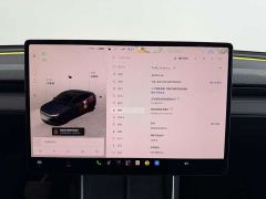 Tesla Model Y Rear-Wheel Drive - ფოტო 8