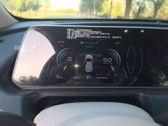 ORA Good Cat 401km Luxury - ფოტო 11
