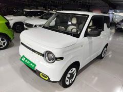 Geely Panda Mini 210km Vitality Edition - ფოტო 1