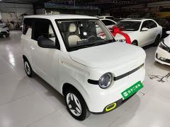 Geely Panda Mini 210km Vitality Edition - ფოტო 3