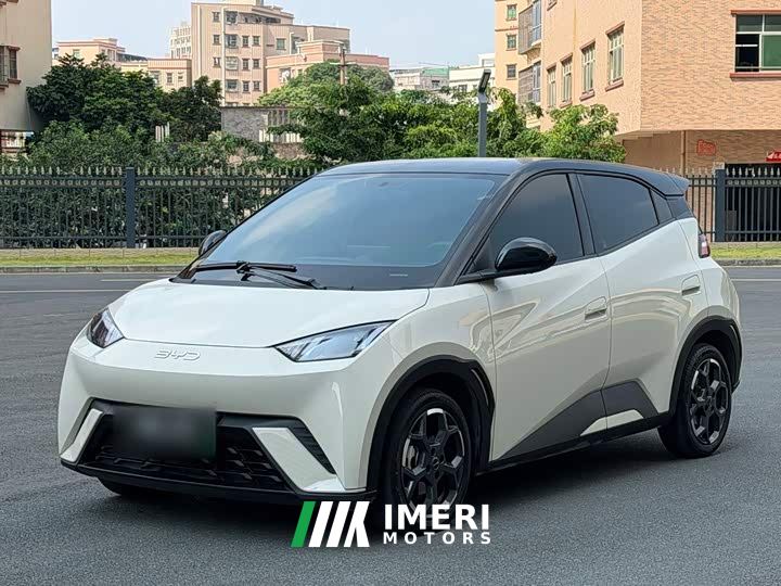 BYD Seagull 305km Freedom Edition