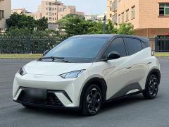 BYD Seagull 305km Freedom Edition - ფოტო 1
