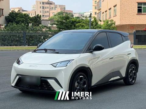 2025 BYD Seagull 305km Freedom Edition - ავტომობილი ჩინეთიდან
