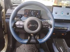BYD Seagull 305km Freedom Edition - ფოტო 10