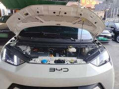 BYD Seagull 305km Freedom Edition - ფოტო 19