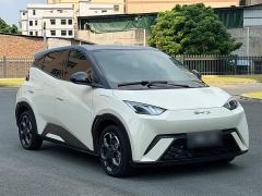 BYD Seagull 305km Freedom Edition - ფოტო 3