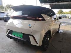 BYD Seagull 305km Freedom Edition - ფოტო 6