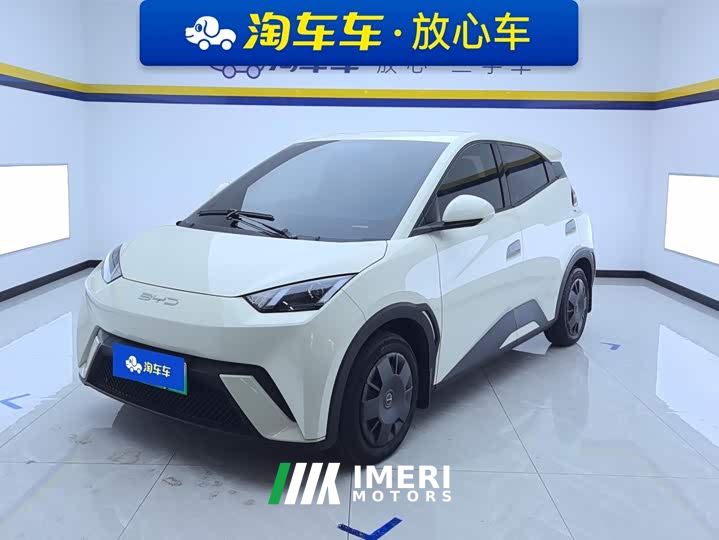 BYD Seagull Vitality Edition - ავტომობილი ჩინეთიდან