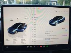 Tesla Model 3 Rear-Wheel Drive - ფოტო 15