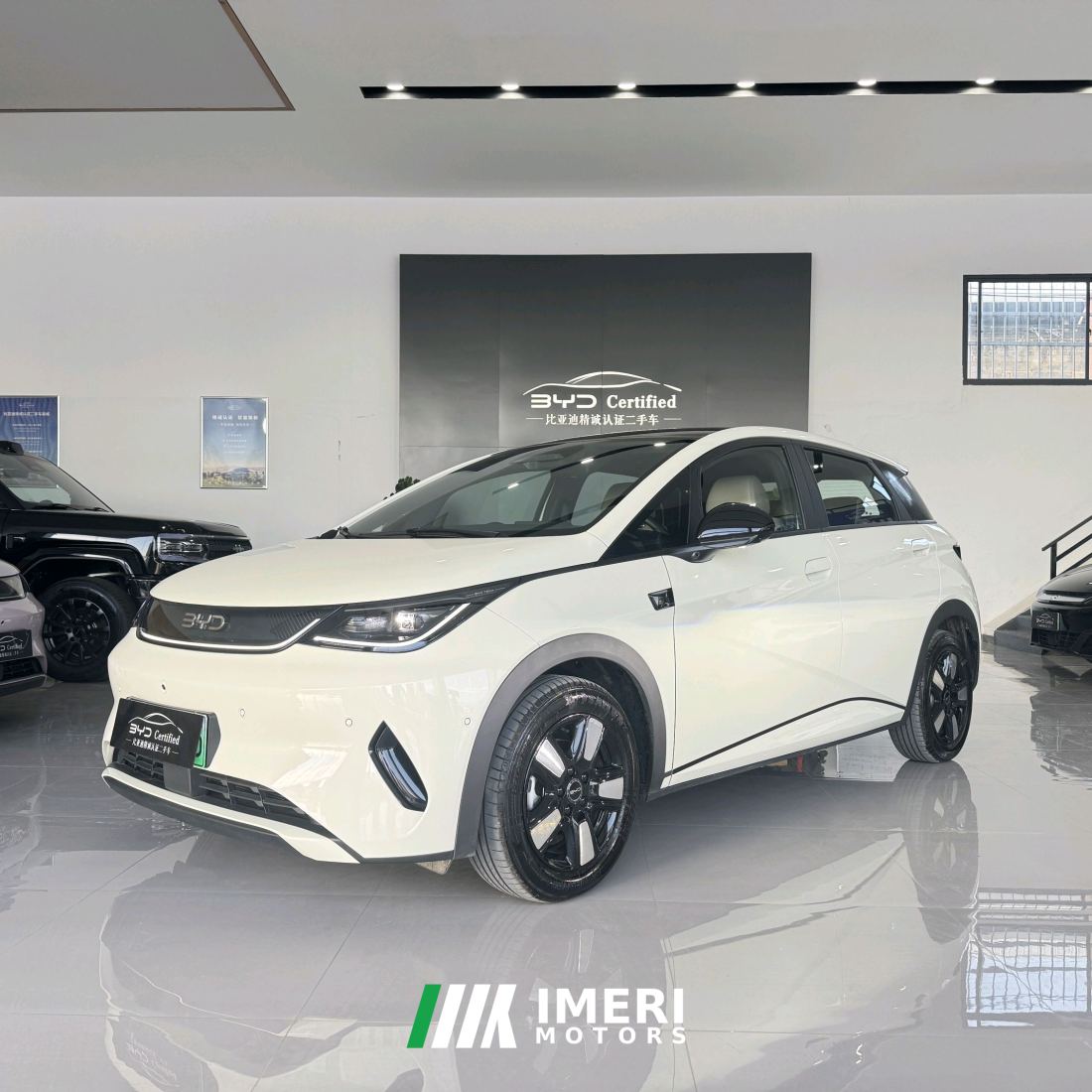 BYD Dolphin Smart Driving Edition 410km Stylish Edition - car from China
