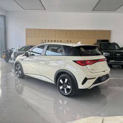 BYD Dolphin Smart Driving Edition 410km Stylish Edition - photo 3