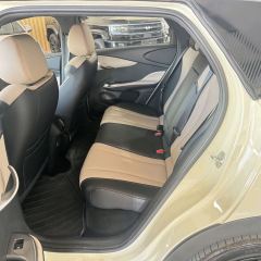BYD Dolphin Smart Driving Edition 410km Stylish Edition - photo 9