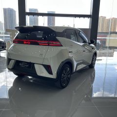BYD Seagull 405km Pioneer Flying Edition - photo 11