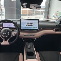 BYD Seagull 405km Pioneer Flying Edition - photo 6