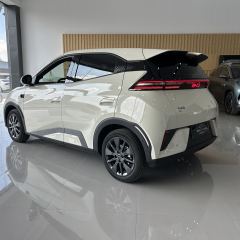 BYD Seagull 405km Pioneer Flying Edition - photo 9