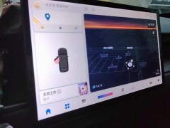 Jetour Jietu Dasheng 1.5T DCT Starlight PRO - фото 13