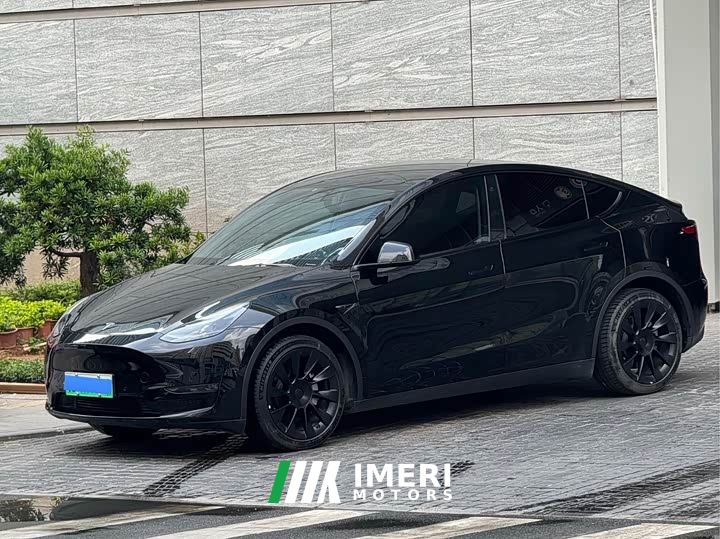Tesla Model Y Rear-Wheel Drive - car from China