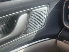 Denza D9 DM-i 980 Four-Wheel Drive Premium - photo 5