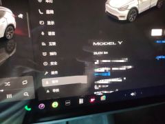 Tesla Model Y 554km Rear-Wheel Drive Edition - ფოტო 13