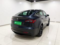 Tesla Model Y 554km Rear-Wheel Drive Edition - ფოტო 6